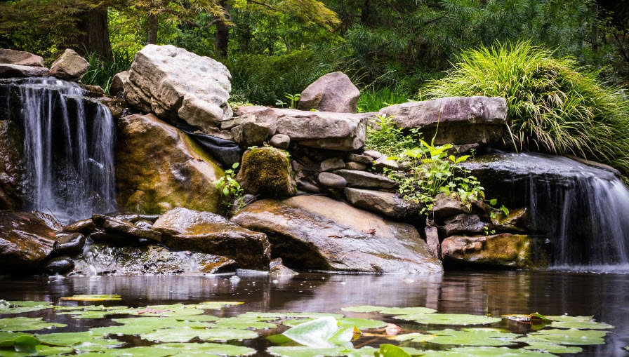 UNC Charlotte Botanical Gardens, United States